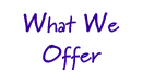 what we offer